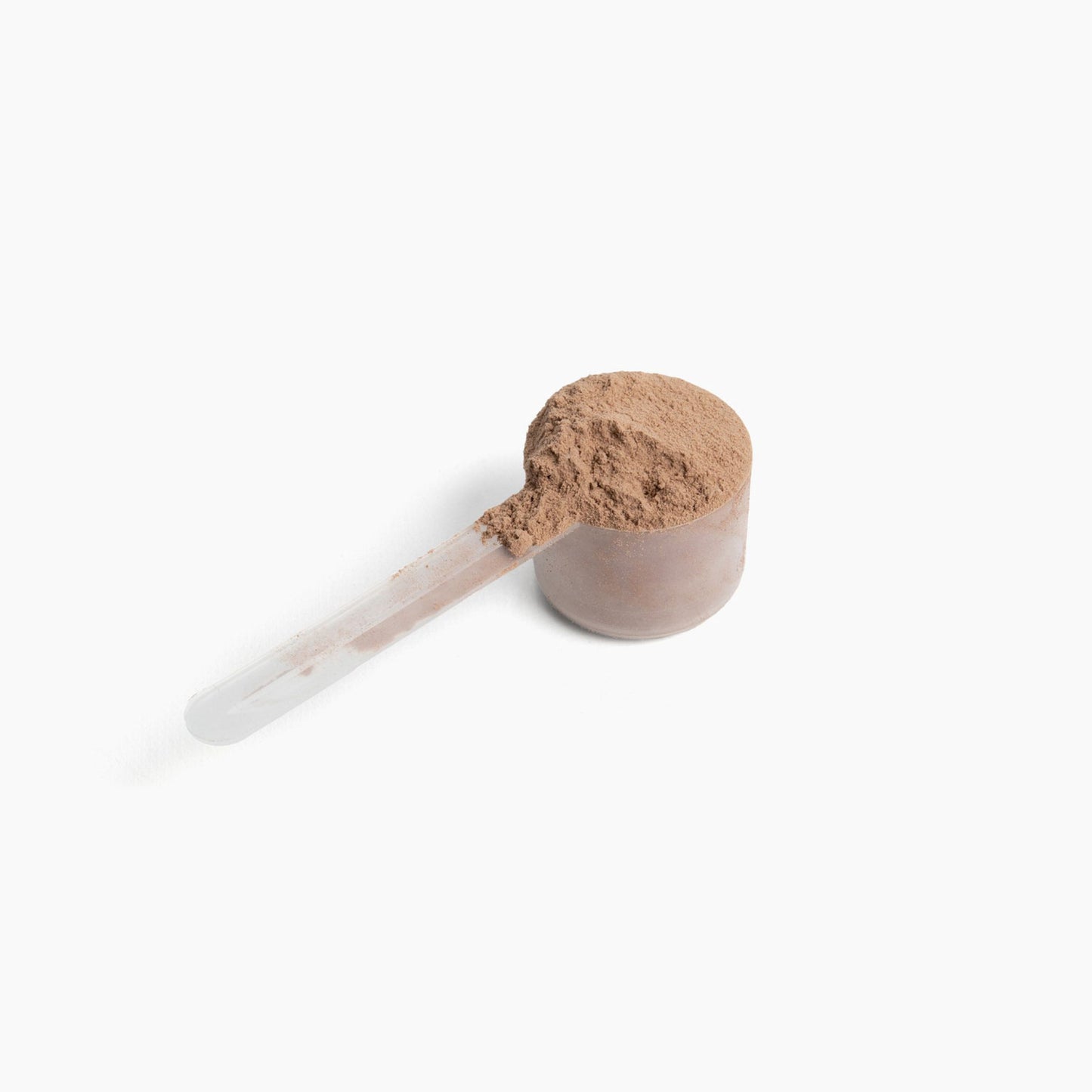 10X Plant Protein