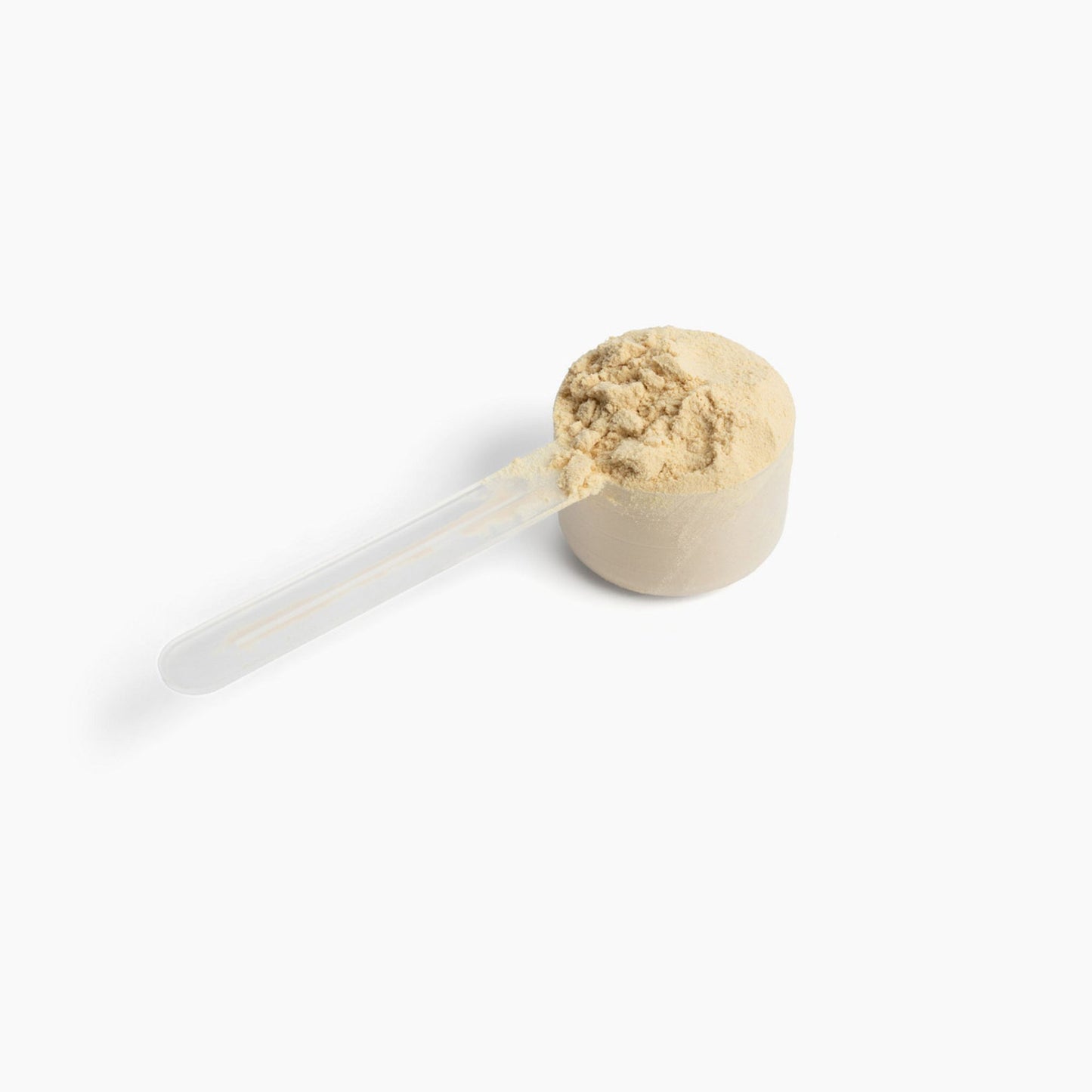 10X Plant Protein