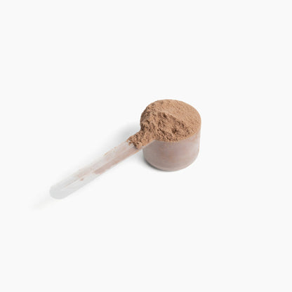 10X Plant Protein
