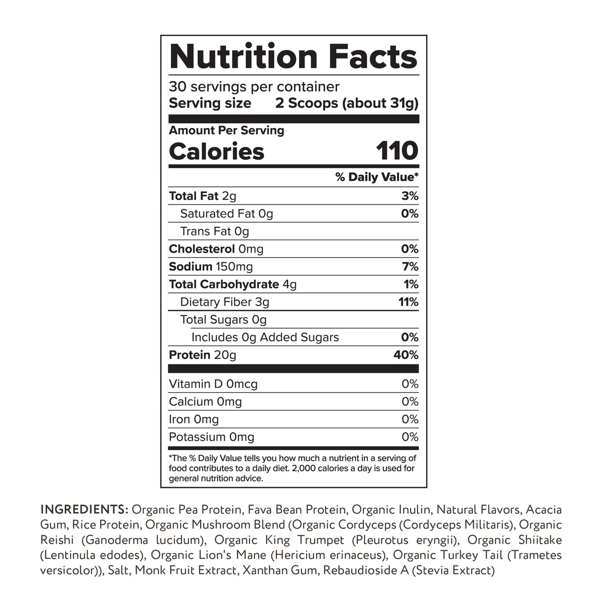 10X Plant Protein Honey Vanilla