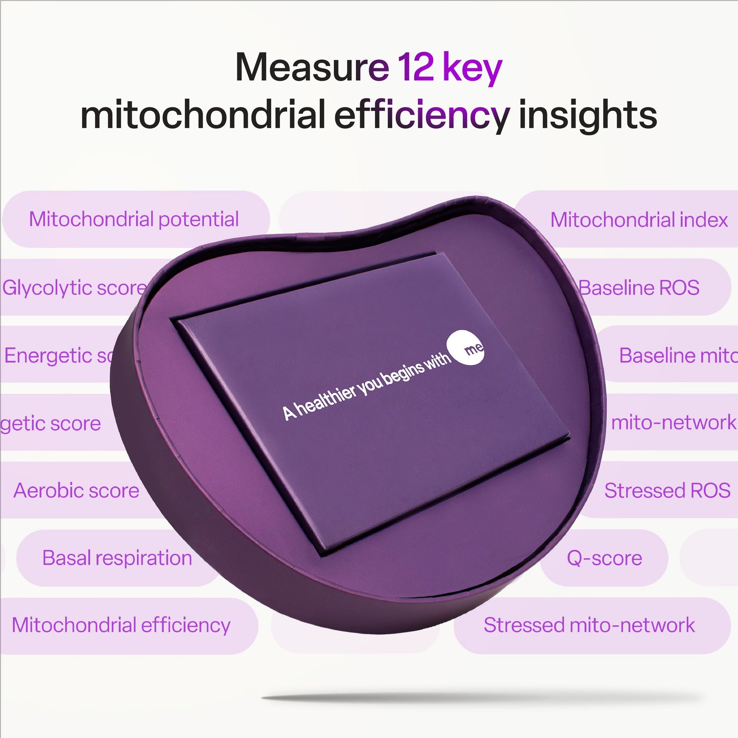 10X mescreen™ Mitochondrial Efficiency Test — On-site Collection