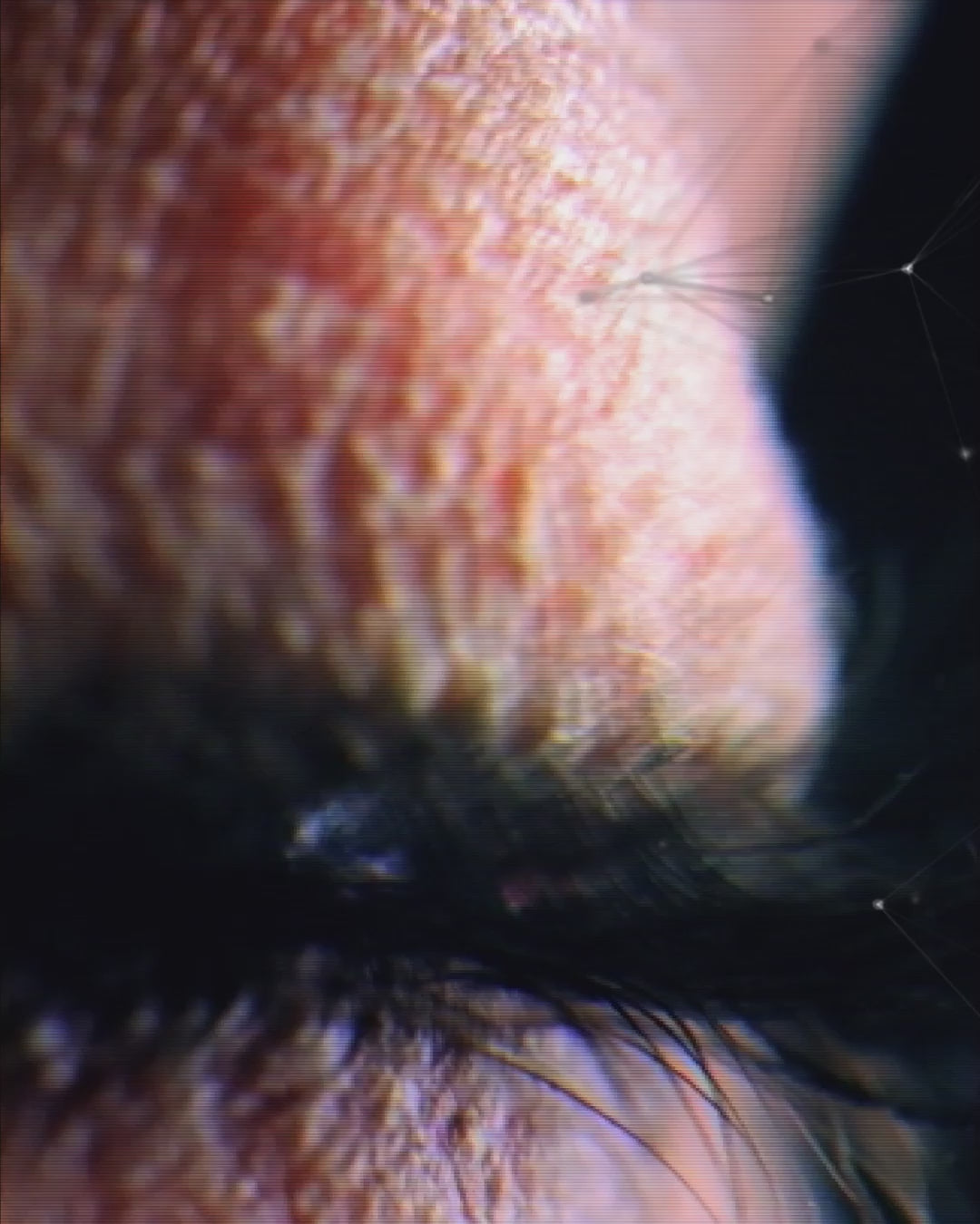 ONE TEST. TOTAL CLARITY. MEET THE NEW METHYLATION+ GENETIC TEST